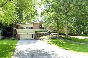 Yard / Grounds