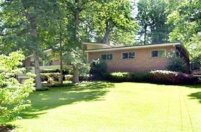 Yard / Grounds
